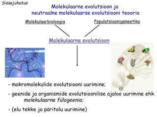 Sissejuhatus