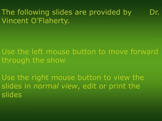 Use the left mouse button to move forward through the show