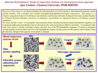 Materials World Network: Design of responsive materials via mixed polymer brush approach