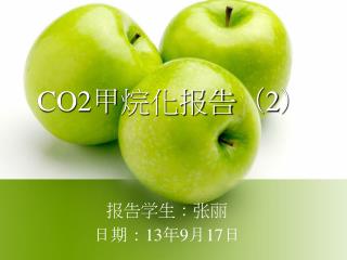 CO2 甲烷化报告（ 2 ）