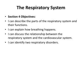 The Respiratory System