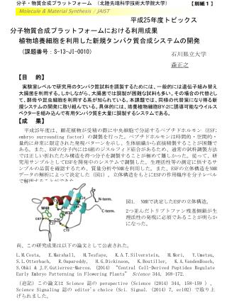 Molecule &amp; Material Synthesis / JAIST