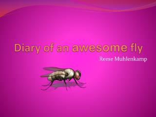 Diary of an awesome fly