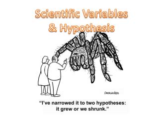 Scientific Variables &amp; Hypothesis