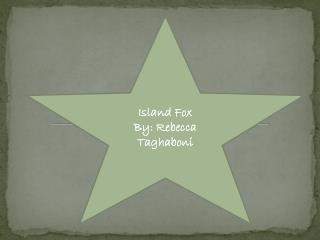 Island Fox By: Rebecca Taghaboni