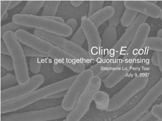 Cling- E. coli