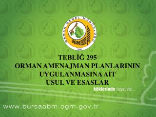 TEBLİĞ 295 ORMAN AMENAJMAN PLANLARININ UYGULANMASINA AİT USUL VE ESASLAR