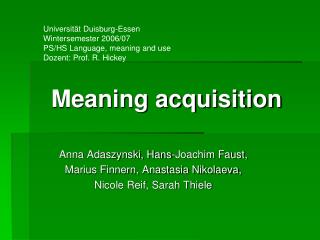 Meaning acquisition