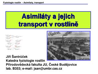Fyziologie rostlin - Asimilaty, transport
