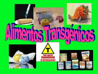 Alimentos Transgénicos