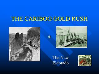 THE CARIBOO GOLD RUSH