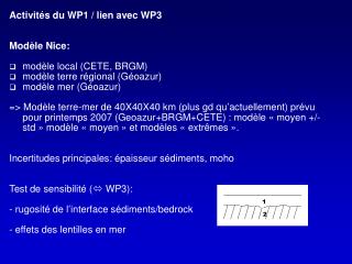 Activités du WP1 / lien avec WP3 Modèle Nice: modèle local (CETE, BRGM)