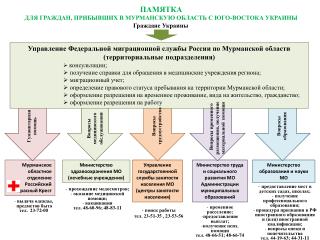 Министерство здравоохранения МО (лечебные учреждения)