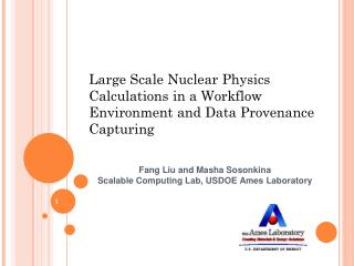 Large Scale Nuclear Physics Calculations in a Workflow Environment and Data Provenance Capturing