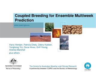 Coupled Breeding for Ensemble Multiweek Prediction