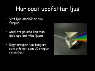 Hur ögat uppfattar ljus