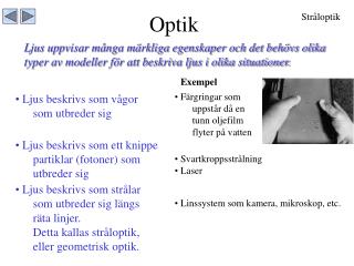 Optik