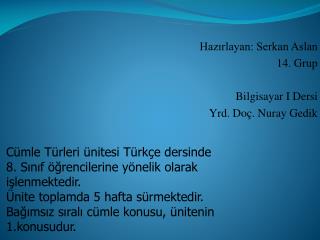 Hazırlayan: Serkan Aslan 14. Grup Bilgisayar I Dersi Yrd. Doç. Nuray Gedik