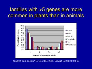 families with &gt;5 genes are more common in plants than in animals