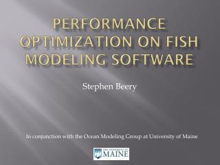 Performance optimization on fish modeling software