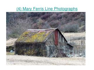 (4) Mary Ferris Line Photographs