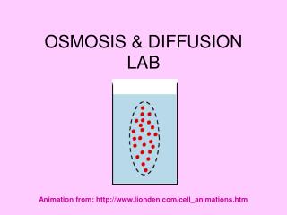 OSMOSIS &amp; DIFFUSION LAB