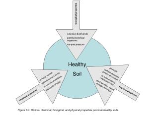 pH near neutral optimal nutrient levels no harmful chemicals, low levels of salts