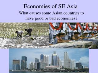 Economies of SE Asia