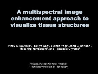 A multispectral image enhancement approach to visualize tissue structures