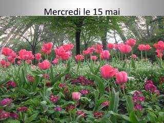 Mercredi le 15 mai