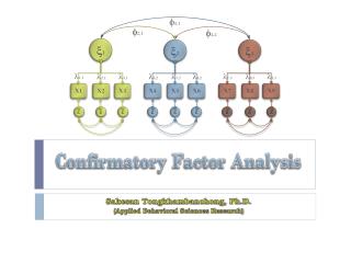 Confirmatory Factor Analysis