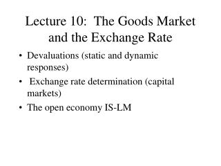 Lecture 10: The Goods Market and the Exchange Rate