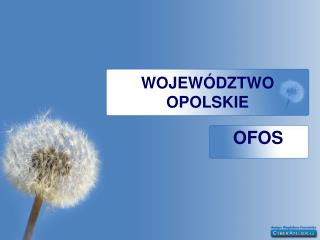 WOJEWÓDZTWO OPOLSKIE