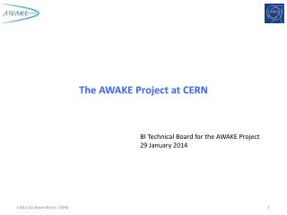 The AWAKE Project at CERN