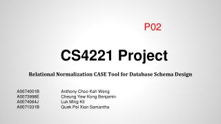 CS4221 Project