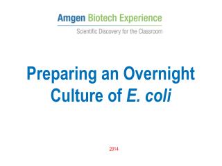 Preparing an Overnight Culture of E. coli