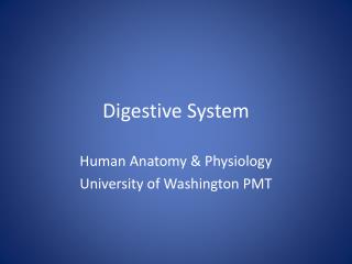 Digestive System