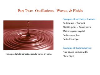 Part Two: Oscillations, Waves, & Fluids