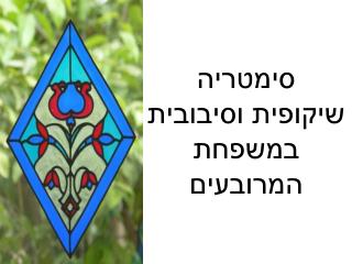 סימטריה שיקופית וסיבובית במשפחת המרובעים