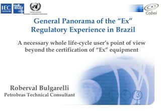 Roberval Bulgarelli Petrobras Technical Consultant