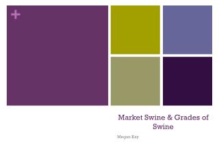 Market Swine &amp; Grades of Swine