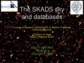 The SKADS sky and databases