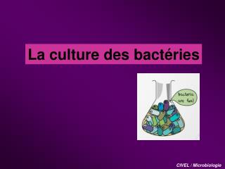 La culture des bactéries