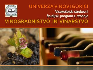 VINOGRADNIŠTVO IN VINARSTVO na Visoki šoli za vinogradništvo in vinarstvo