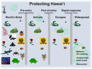 Pre-entry (laws &amp; agreements)