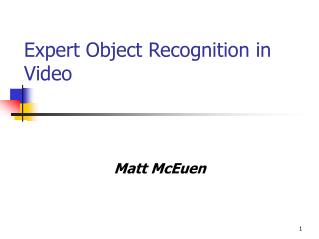 Expert Object Recognition in Video