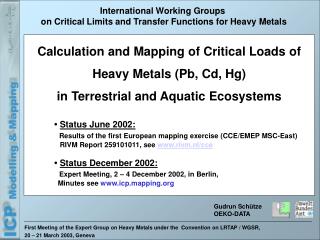 First Meeting of the Expert Group on Heavy Metals under the Convention on LRTAP / WGSR,