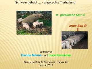 Vortrag von Davide Menna und Luca Keunecke Deutsche Schule Barcelona, Klasse 6b Januar 2013