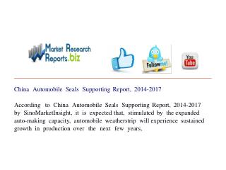 China Automobile Seals Supporting Report, 2014-2017