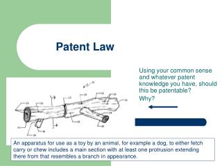 Patent Law